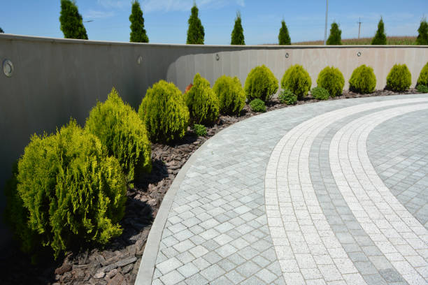 Best Residential Paver Driveway  in Valley Center, CA